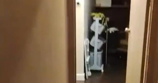 LX Hausys表面装饰产品荣获美国创新大奖，引领行业新潮流