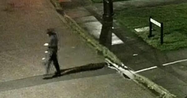 【警方公布监控】英国海滨小镇惊现12岁女童遭性侵案，全民缉凶！