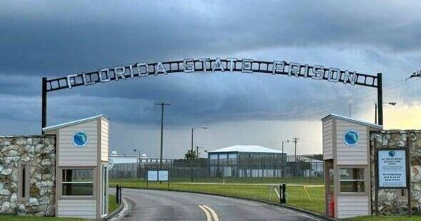 男子刺死“圣诞坚果”母亲，留下神秘遗言后伏法，引爆全网热议